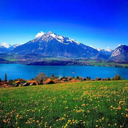 Thun Alps Scenic Views And Concierge By Swisshut * سيغريسويل