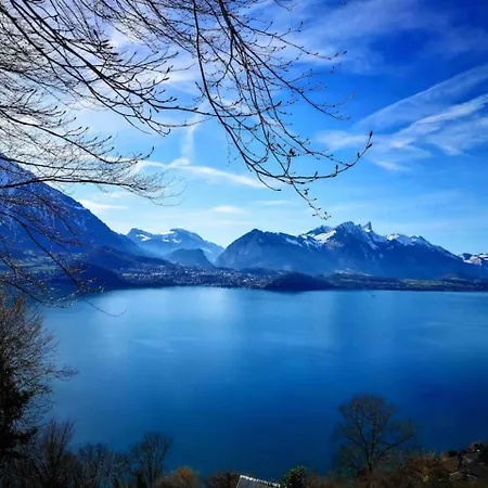 Thun Alps Scenic Views And Concierge By Swisshut *