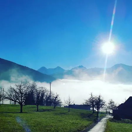 Lake Thun Alps Scenic Views And Concierge By Swisshut Appartamento