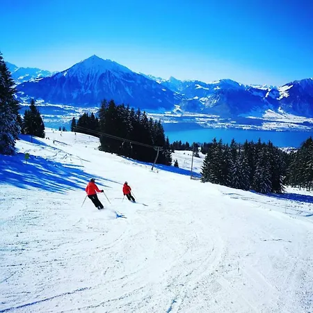 Lake Thun Alps Scenic Views And Concierge By Swisshut *