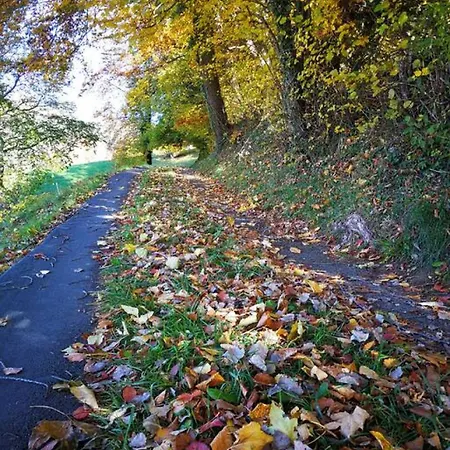 Thun Alps Scenic Views And Concierge By Swisshut * Sigriswil