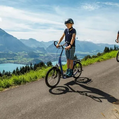 Thun Alps Scenic Views And Concierge By Swisshut * Sigriswil