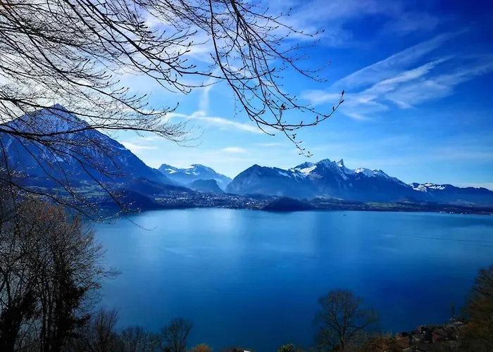 Thun Alps Scenic Views And Concierge By Swisshut *