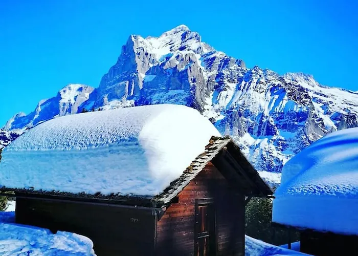 Thun Alps Scenic Views And Concierge By Swisshut *