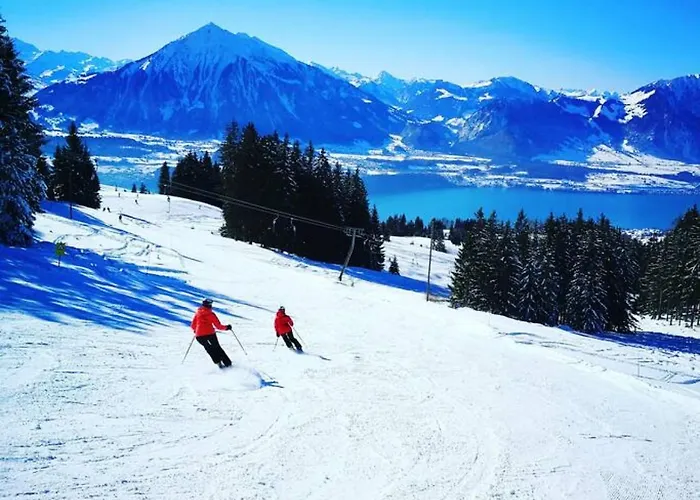 Thun Alps Scenic Views And Concierge By Swisshut *